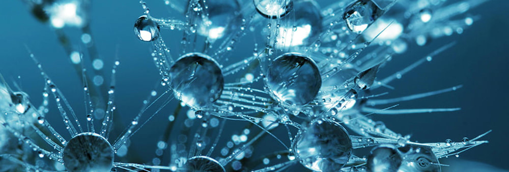 water drops